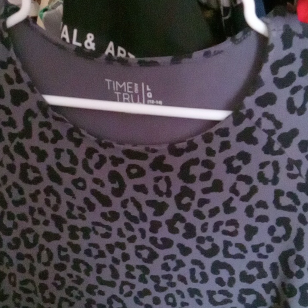 ?dressbarn 14.50